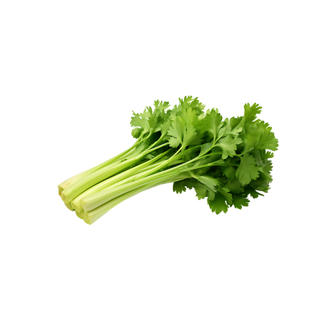 Celery